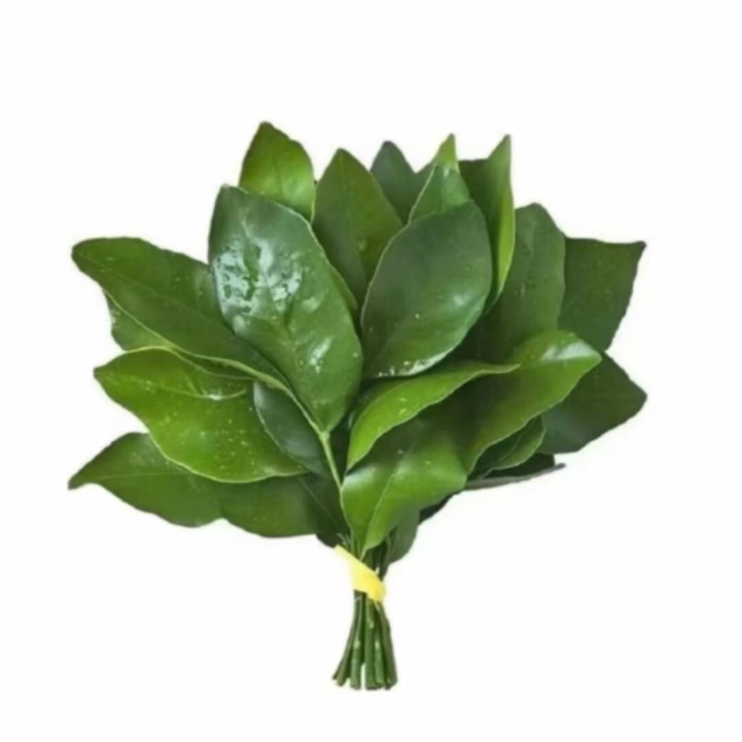 杨佳慧